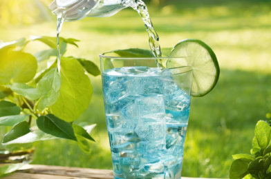 The Importance of Hydration: Tips for Drinking More Water